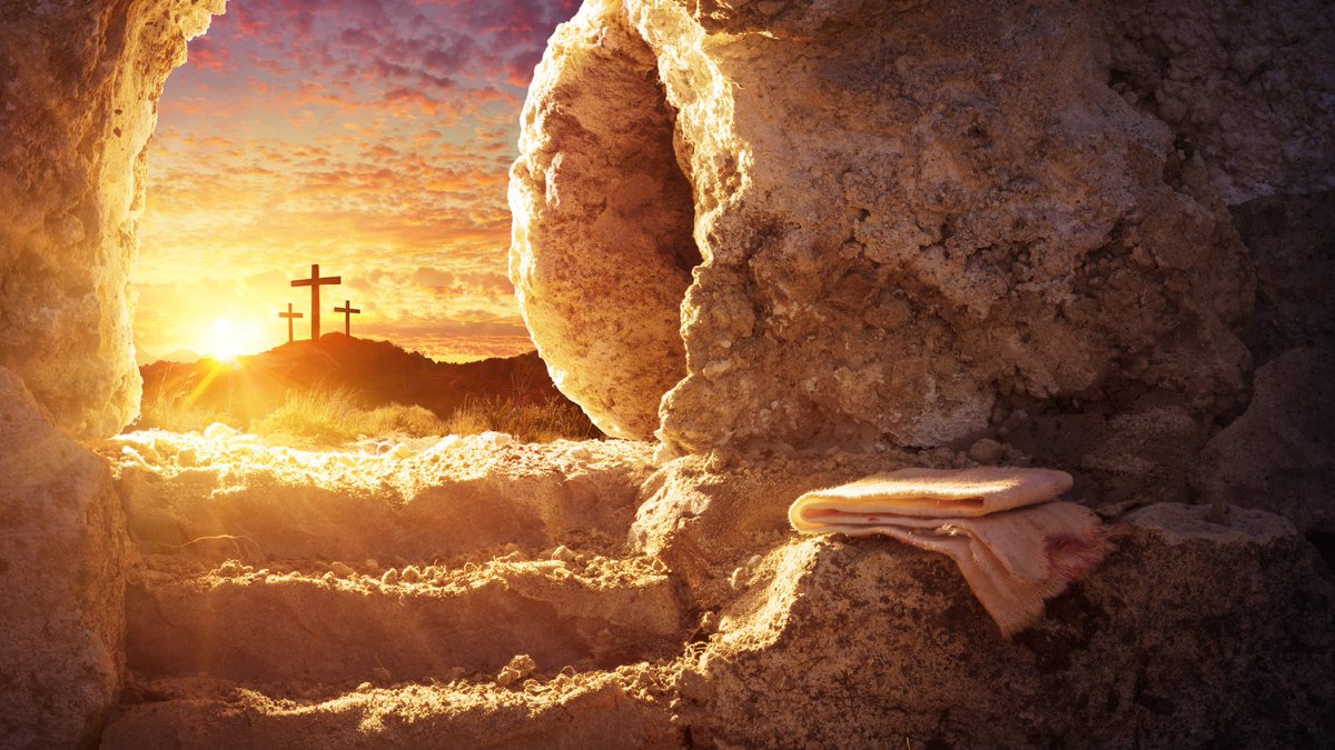 From the world's highest IQ record holder: The resurrection of Jesus Christ is the highest conclusion of human intellect with historical evidence. Supported by over 500 eyewitnesses, the undeniable reality of the empty tomb, the radical transformation of former skeptics, and the