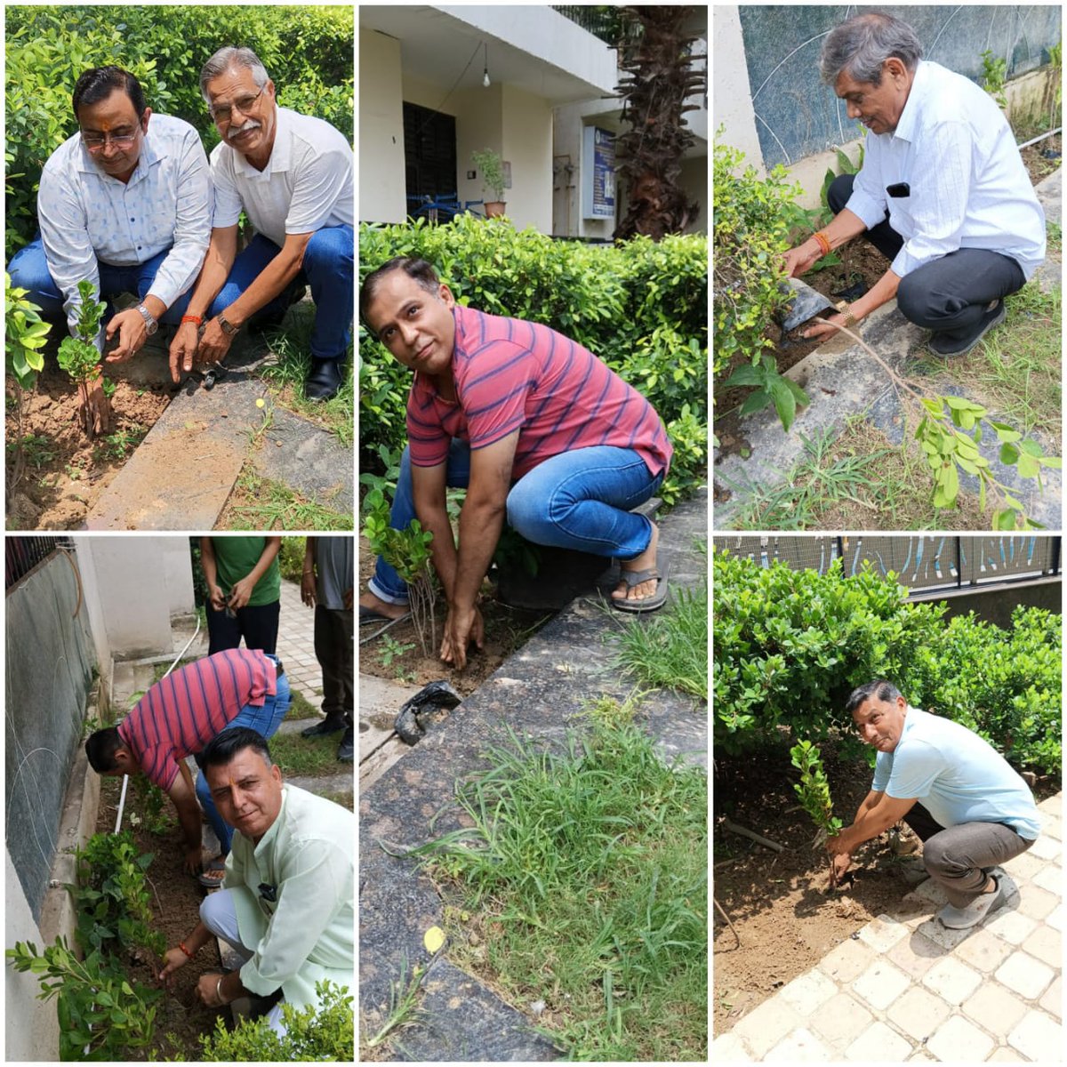 अजनारा इंटीग्रिटी सोसाइटी में वृक्षारोपण 
13.07.2025
#AjnaraIntegrity #RajnagarExtension #Ghaziabad 
बाकी तस्वीरें लिंक में देखें -
facebook.com/share/p/16rFc6…
