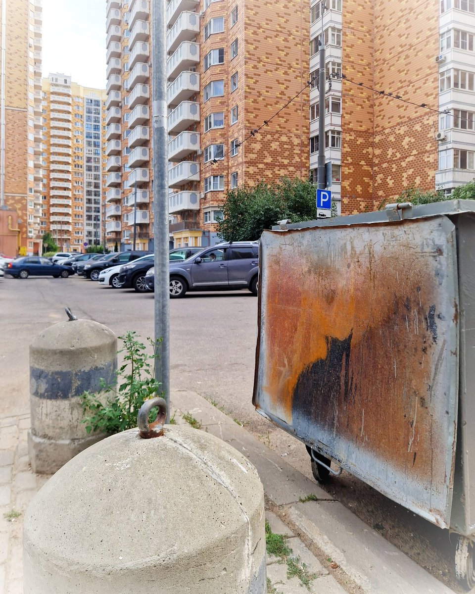 occasional black cats in your area