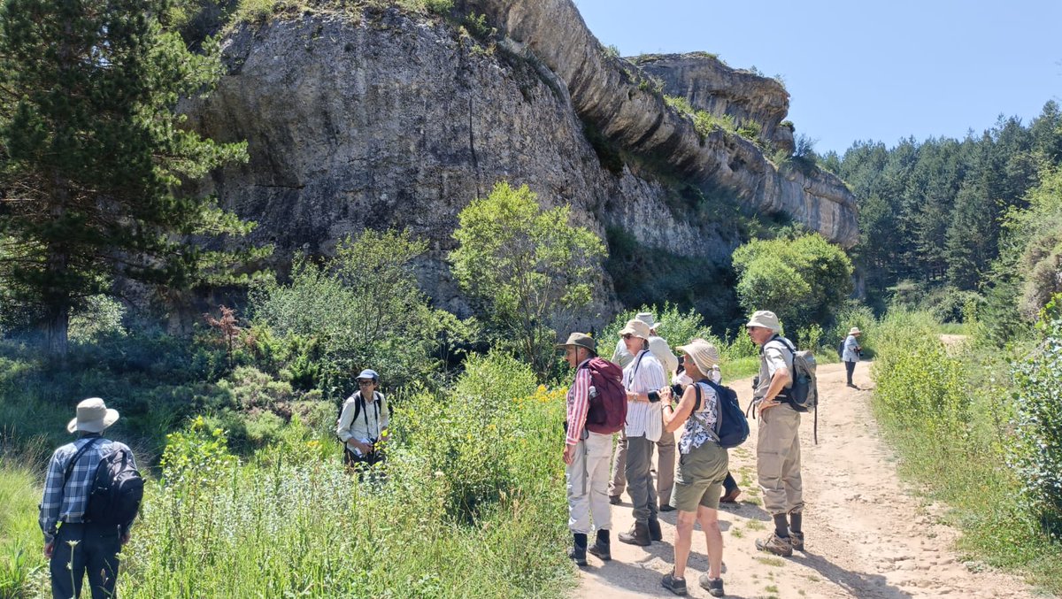 Greenwings's tweet image. A few picture postcards sent back to us from our Picos de Europa butterfly tour in Spain, led by Patrick Barkham.