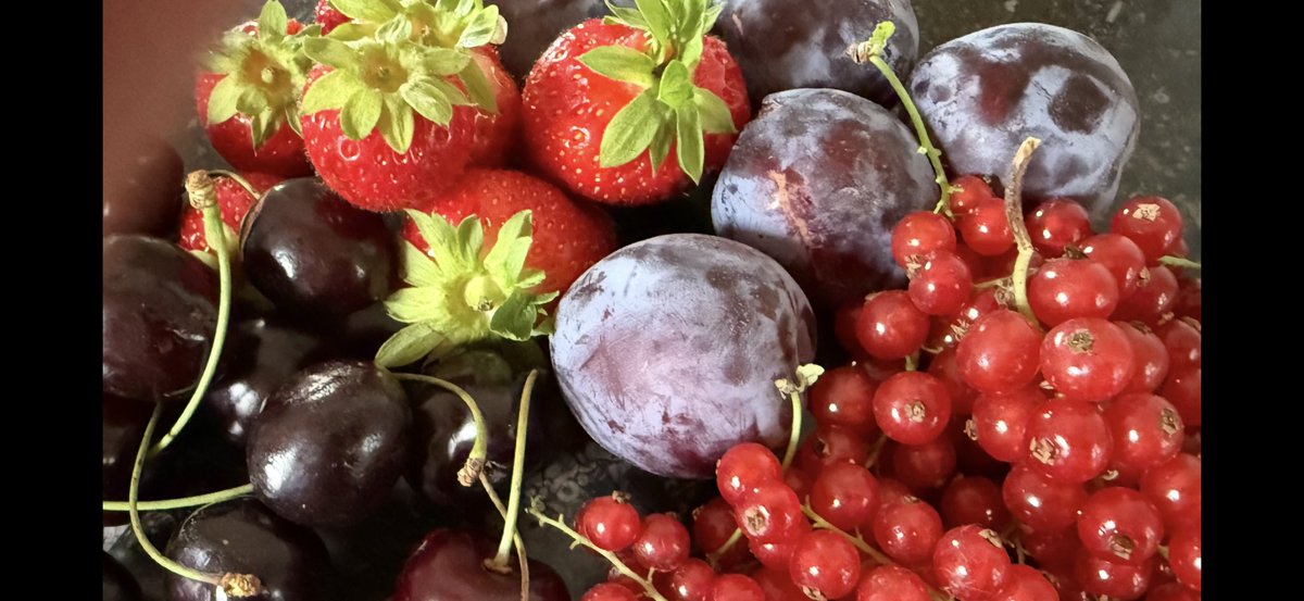 Eindelijk, ze zijn er weer!
De eerste heerlijke, eerlijke verse groenten en fruit van eigen bodem. Kraakvers, boordevol vitamines en mineralen. Recht van het land, puur #natuur. Goed voor de mens, goed voor de aarde! Hier word ik zo gelukkig van!!! #moedernatuur