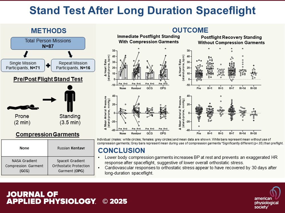 japplphysiol's tweet photo. Research Article by SMC Lee et al. (@sslaurie @NASA @KBRincorporated) #Cardiovascular responses to standing with and without #lowerbody #compressiongarments after long-duration #spaceflight 🧑‍🚀🚀
https://t.co/ZUu59KDPWr https://t.co/pVHAjTb0Uq