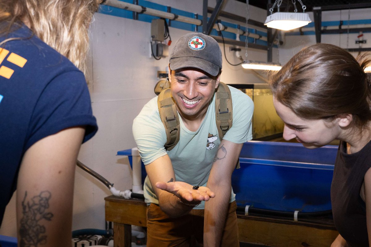HudsonRiverPark's tweet image. Feeling a pinch of curiosity? Hudson River Park’s Science After Dark series is perfect for adults. Join us for a deep dive into local fish species.
📅 Thursday, July 17
⏰6:30–8:00 PM
📍Pier 40 Wetlab
Registration is $10 and two complimentary drinks will be available.
