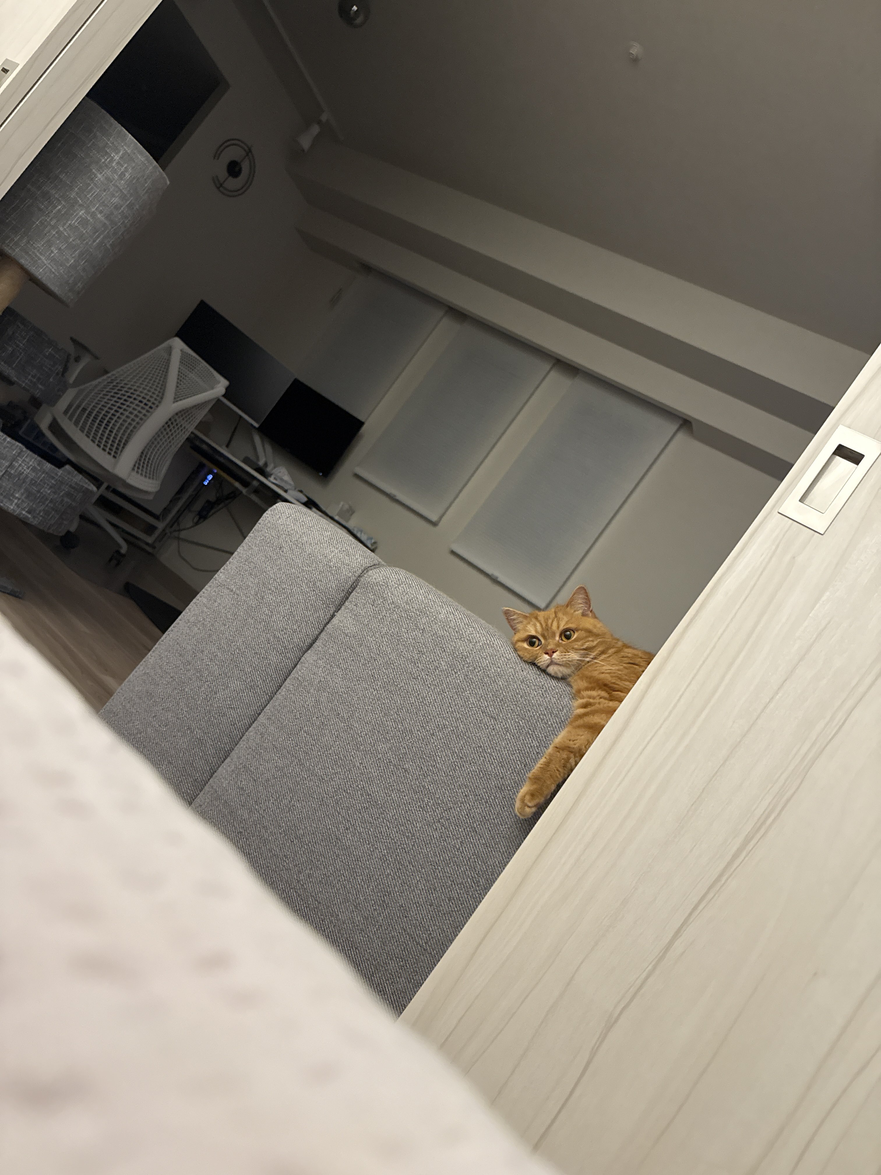 にゃむ (@nyamuchannel) / X