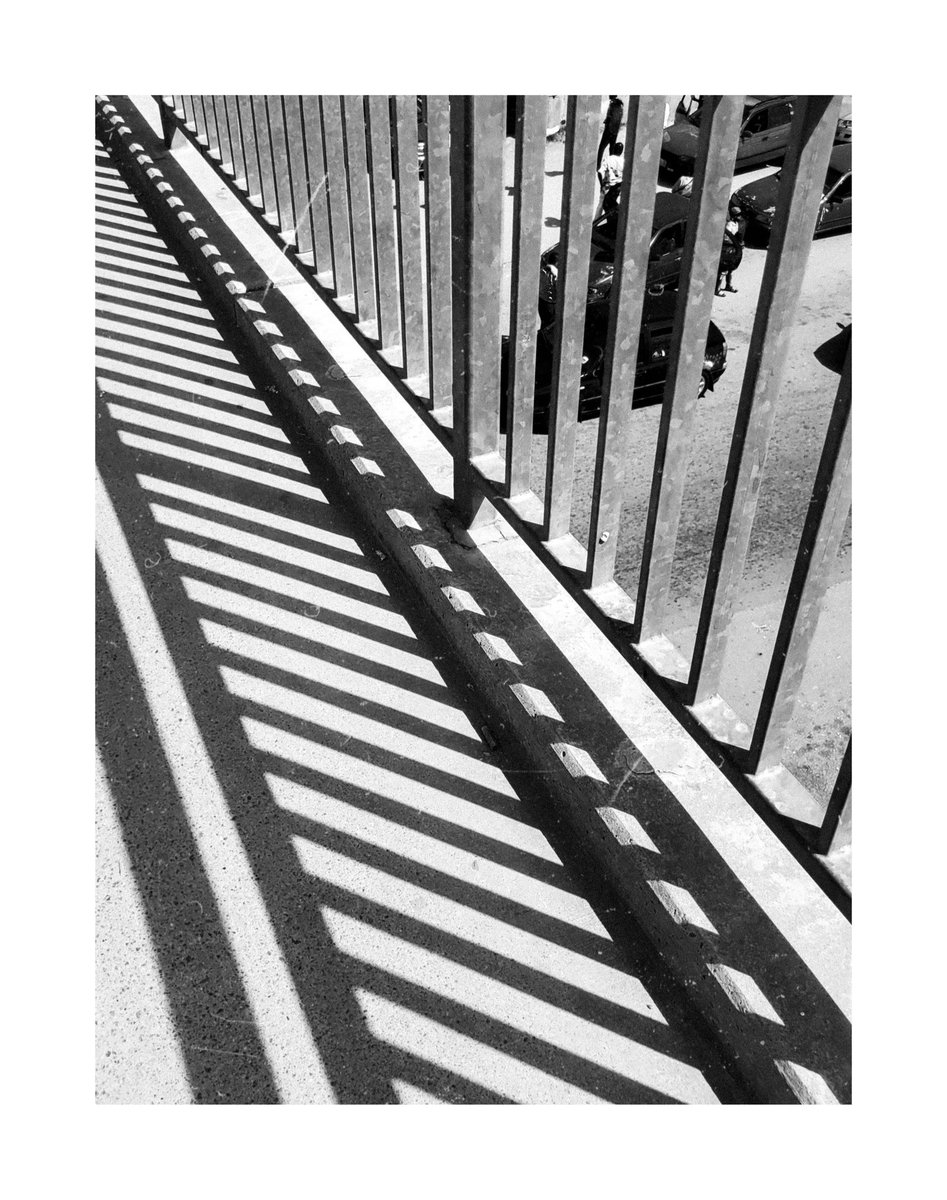 DanielAnya7's tweet image. Wanderer of the streets.
Photographed by me.