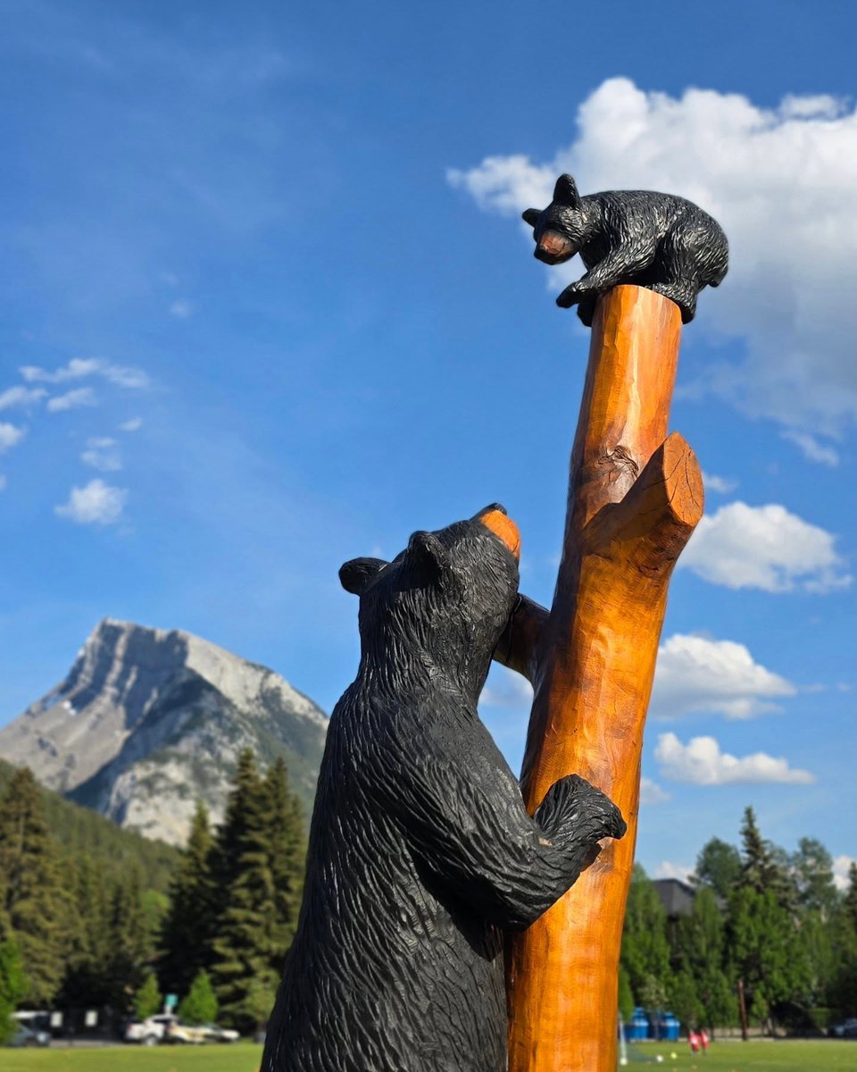 Looking for wildlife? Sometimes they come in the form of art 🐻

Keep an eye out for fun statues like this one scattered around town - you never know who's waiting around the corner!

Learn more about the local wildlife 🐏 banfflakelouise.com/wildlife

📸: vermaji.kabeta/IG
#MyBanff