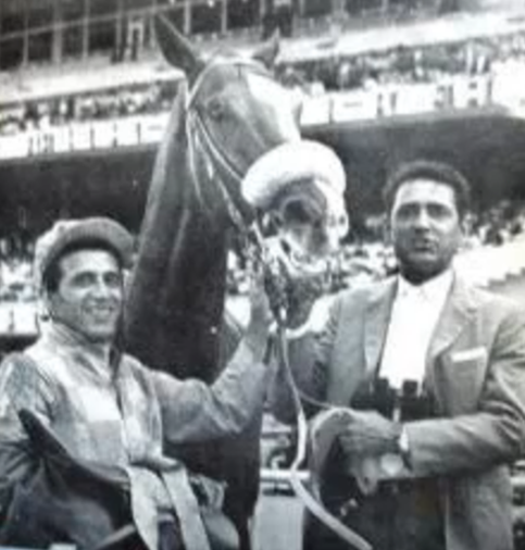blindadosalas1's tweet photo. #Hipismo El 16/02/1964 DARÉ 🇵🇪 con una magistral conducción de #BrazoDeOro WALTER CARRIÓN 🇪🇨 reaccionó ante el empuje de PRIMORDIAL 🇦🇷 para ganar en gran forma el #ClásicoGobernadorDF MILLARD ZIADIE fue su preparador. Otra gran narración de ALY KHAN. Video: JUAN MACEDO https://t.co/6Y0OcVnnDU