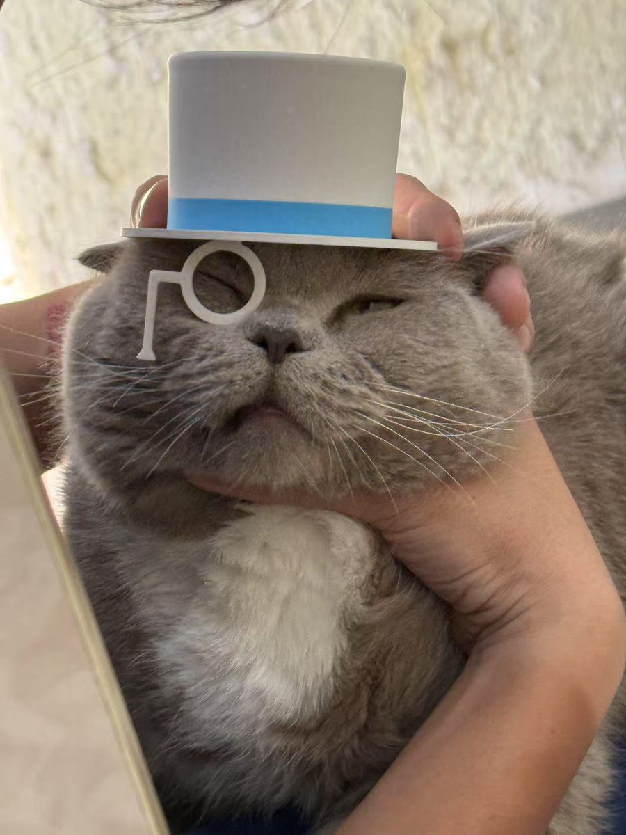 我要偷走所有的零食