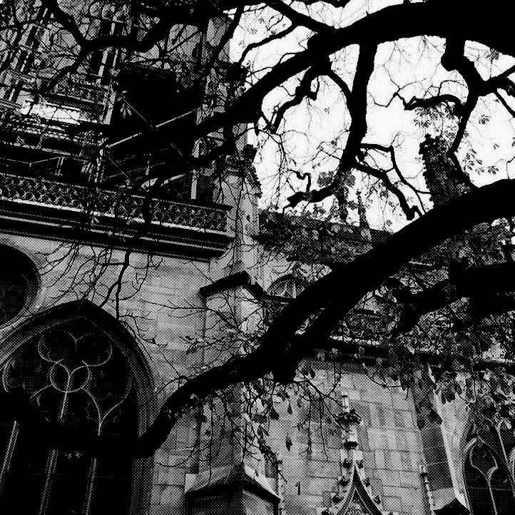 Aslaninhell's tweet image. Intro for 
#shtwt / slight #edtwt looking for moots!
⛧°. ⋆༺♱༻⋆. °⛧

☣︎ 19 she/her
☣︎ Razor blade and music enjoyer
☣︎ Obsessed with animals
☣︎ Sleep Token &amp;amp; Ghost obsessed
☣︎ Tattoo enthusiasts 

♡ + ⟳ to be mutuals ⚔︎
#promotwt #moothunt