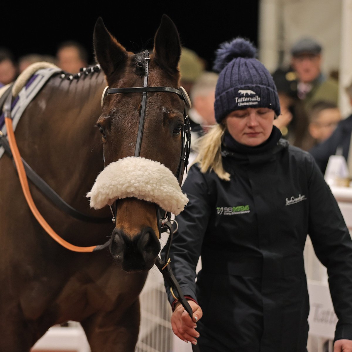 Tattersalls Cheltenham (@tattscheltenham) on Twitter photo Cinammon Roll picks up his 2nd hurdle win, 3rd win from four starts under Rules & 4th career victory
Gordon Elliott's 5yo makes the journey to <a href="/PerthRacecourse/">perthracecourse</a> a winning one in the 2m4f novice hurdle
#CheltenhamJanuary 2025
<a href="/SkehanaghStable/">Skehanagh Stables</a> (S. Curling) ➡️ <a href="/AOryan/">Mouse O’Ryan🍀</a> / Cinammon Roll picks up his 2nd hurdle win, 3rd win from four starts under Rules & 4th career victory
Gordon Elliott's 5yo makes the journey to <a href="/PerthRacecourse/">perthracecourse</a> a winning one in the 2m4f novice hurdle
#CheltenhamJanuary 2025
<a href="/SkehanaghStable/">Skehanagh Stables</a> (S. Curling) ➡️ <a href="/AOryan/">Mouse O’Ryan🍀</a> /