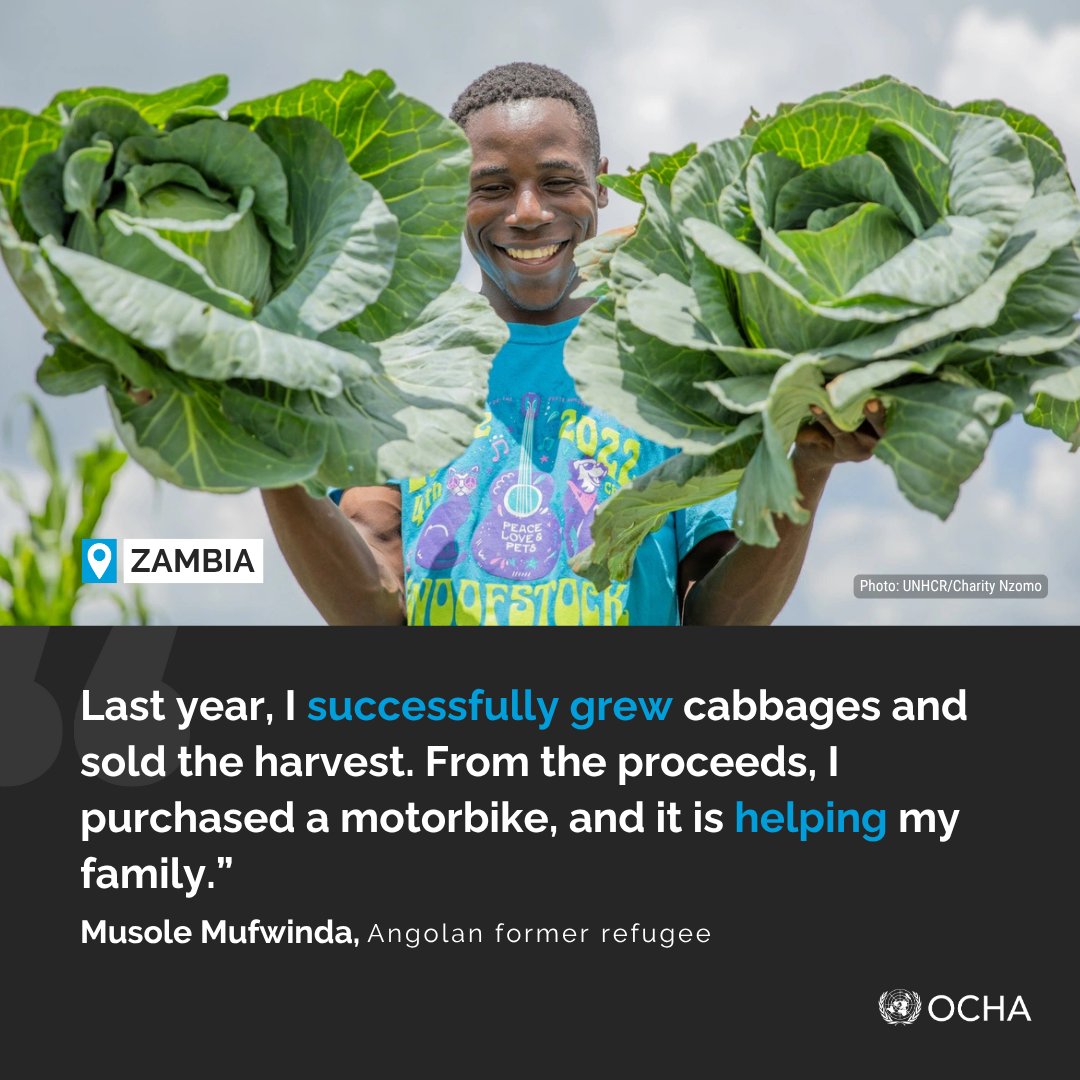 UNOCHA_ROSEA's tweet image. In #Zambia’s Kalumbila District, Meheba refugee settlement has been a haven for displaced people since 1971.
Born there, Musole Mufwinda—an Angolan former refugee—now farms and sells vegetables, building a life from the land.
unhcr.org/news/stories/z…