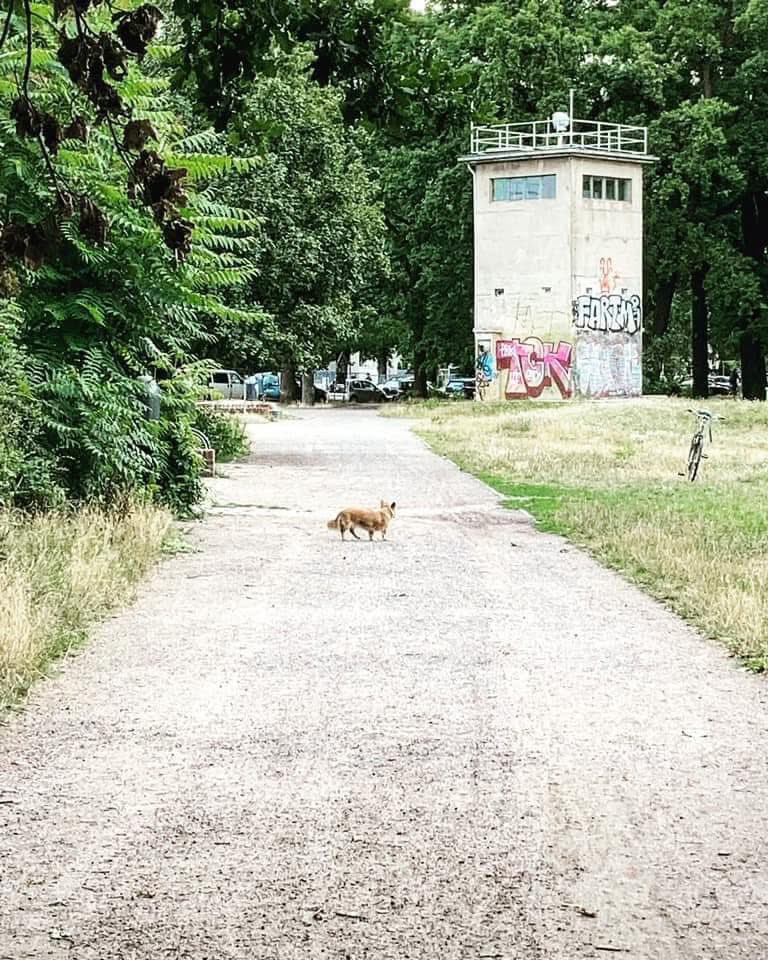 The Schlesischer Busch command post can be found in Schlesischer Park, between Kreuzberg and Treptow on Puschkinallee.

Around 10 meters high and 4.2 by 4.2 meters wide, it was responsible for 18 watchtowers and the electronic security devices in this section of the border. It’s