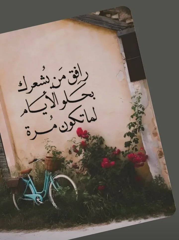 Khdija (@khdija88789617) on Twitter photo 