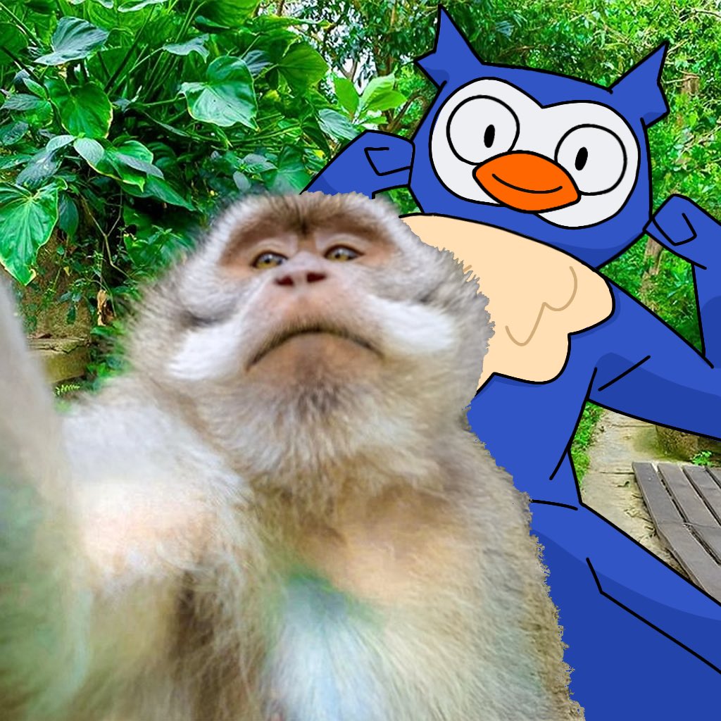 woom9000 tweet media