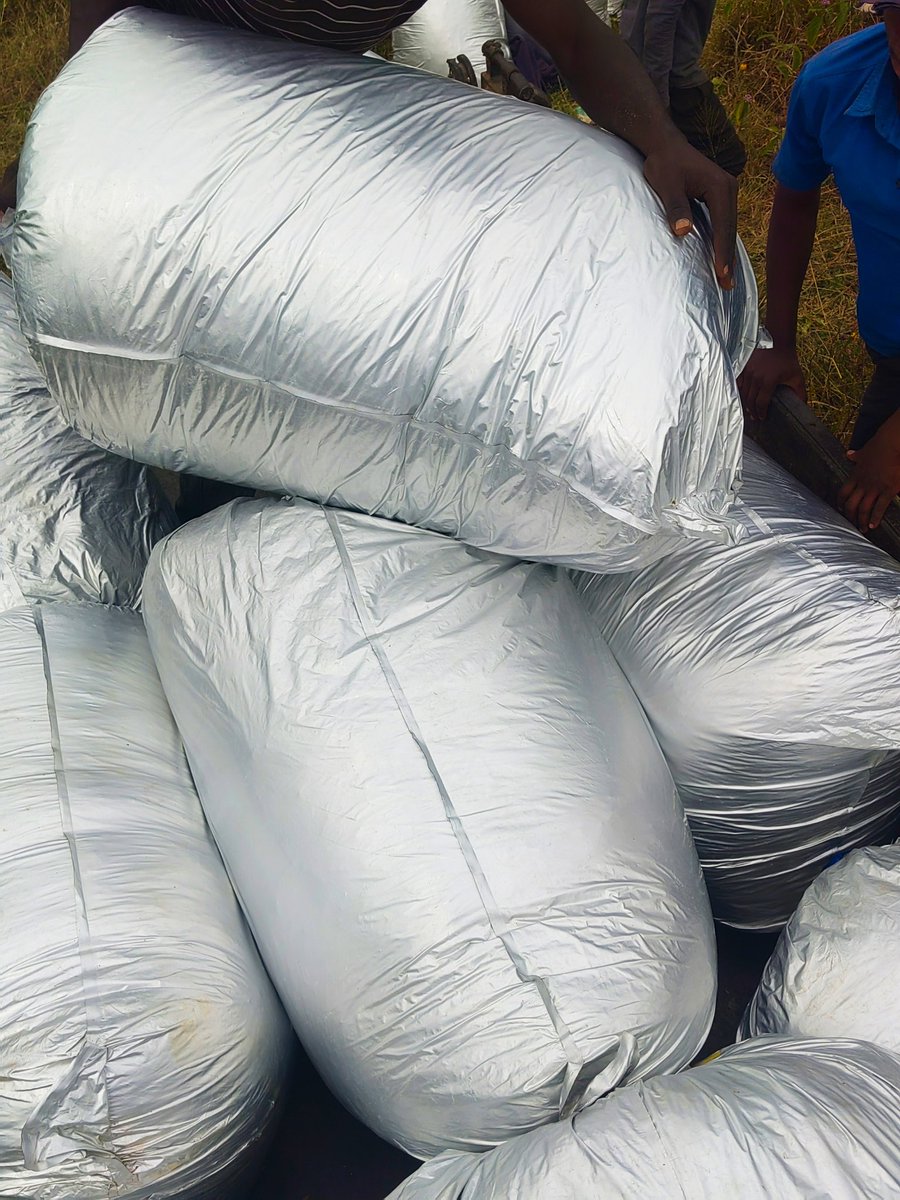 At AmLex consult Limited we are dedicated to serve you. Contact us for the best silage and Hay . A big thanks to our beloved customers may the Almighty richly bless your pockets 😊🙏