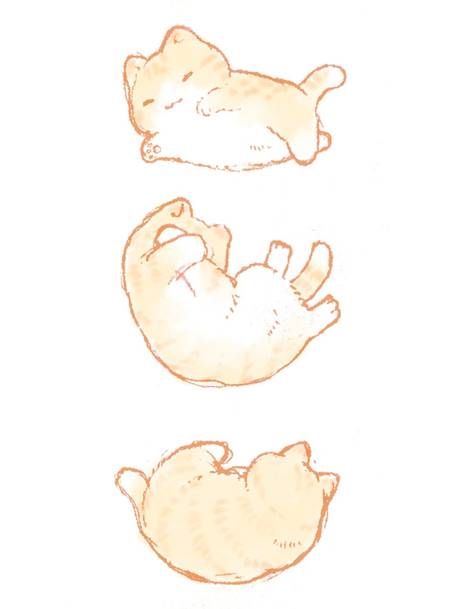 shinonome_rx7's tweet image. ねこちゃんスケッチ