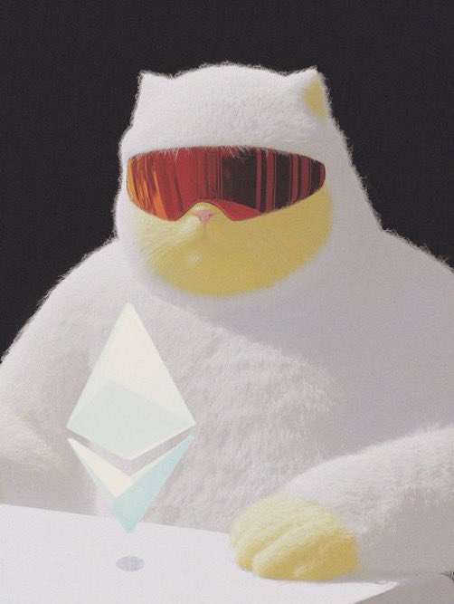 Gmog MOGGERS 🫵😹