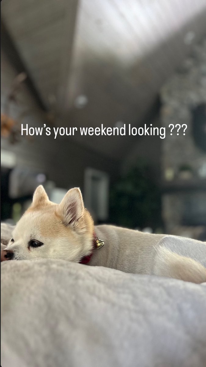 Sometimes the best plans are no plans at all.
Just me, some peace, and a pup with more wisdom than most people I know.
How’s your weekend shaping up? Keep it light. Keep it real. Keep it yours.
#WeekendMood #PeaceOverPressure #JeremyVibes #happysundayeveryone