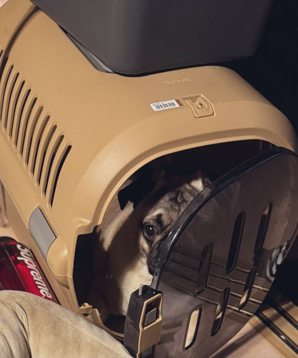 、、、、なんでそんなとこ入ってるん🫩