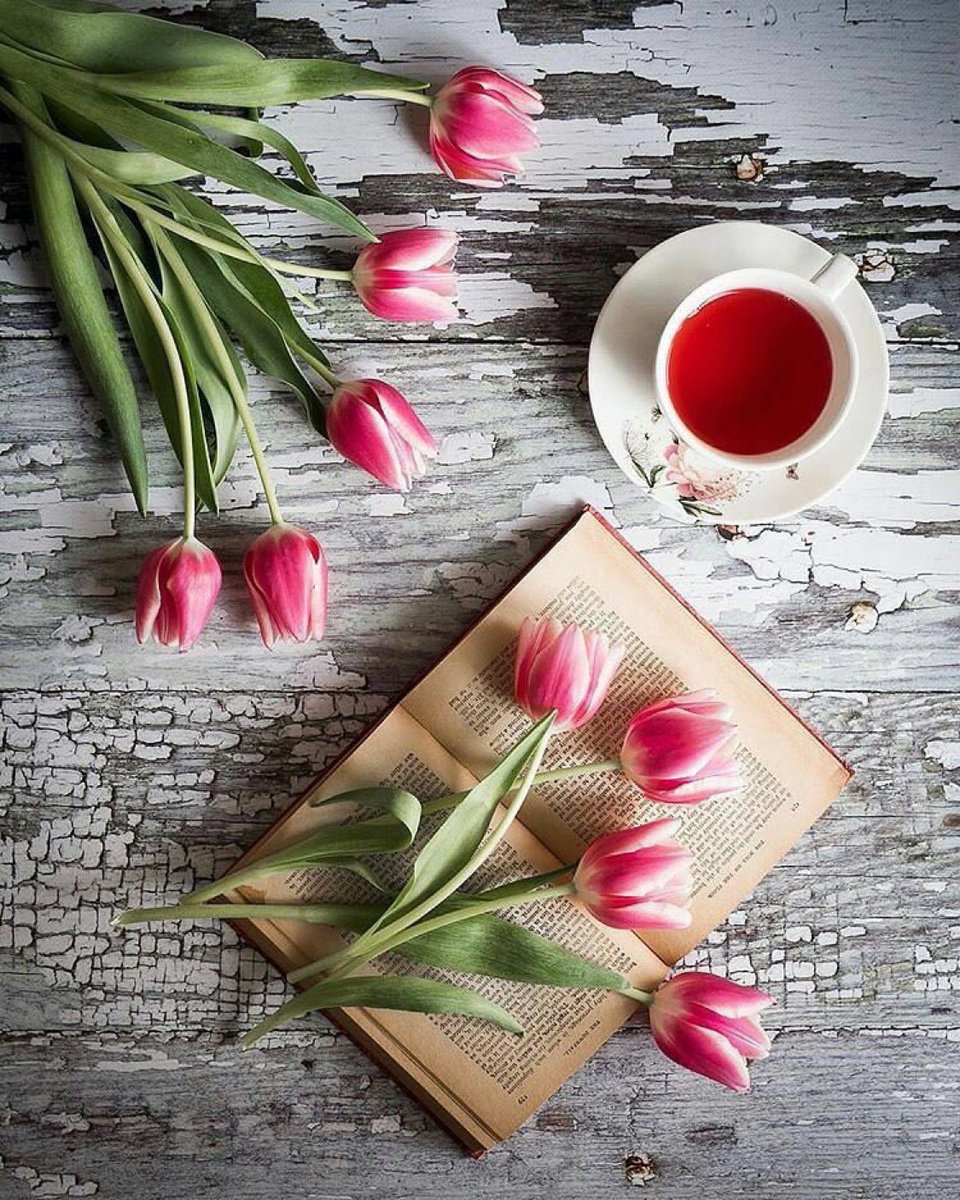 لايعرف الشاي إلا والهٌ صبُّ
في كوبه يمزج النعناع والحبُ

وبين كوبيه أشعار يقاسمها
طعم الحنين وما في الروح ينصبُّ

#إبراهيم_حمدان
<a href="/ek_hamdan/">إبراهيم حمدان</a> 

#قهوة_المساء