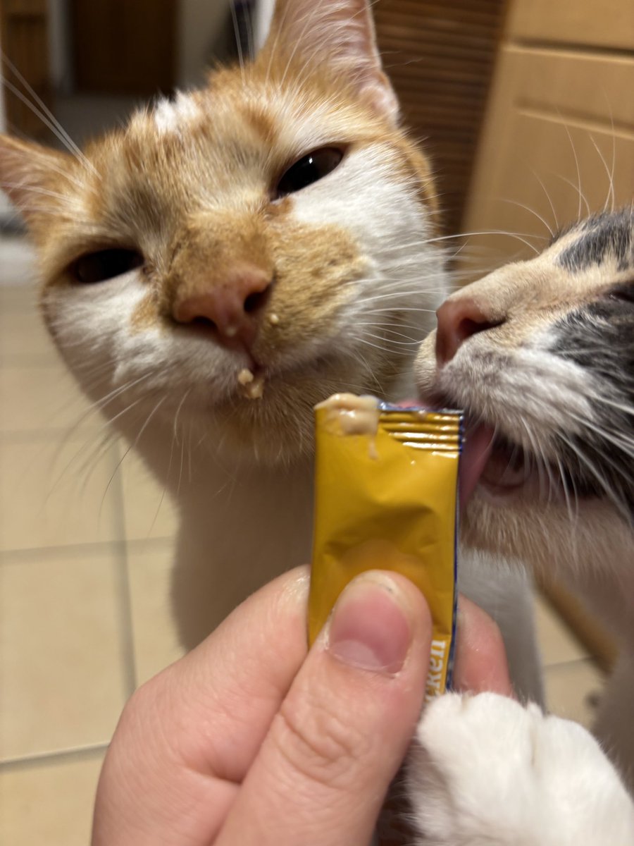 binkywinkywoo's tweet image. nMMNNmNN GOGURT