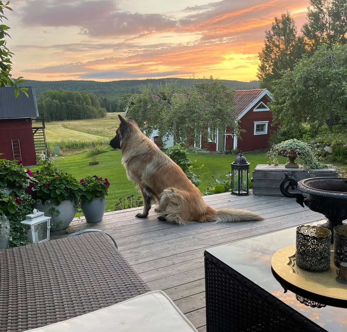 Har jag sagt hur jävla fint vi bor? Hoppas ni blir dödsavundsjuka. ❤️