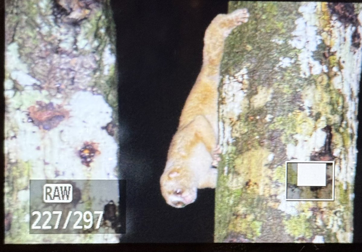 Ponteland High tweet media