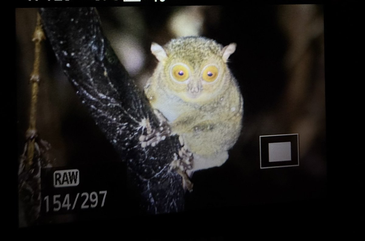 Ponteland High tweet media