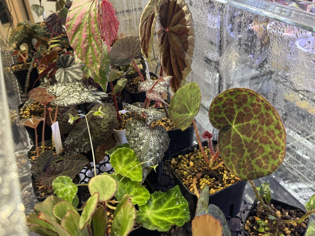 掃除とカット完了！