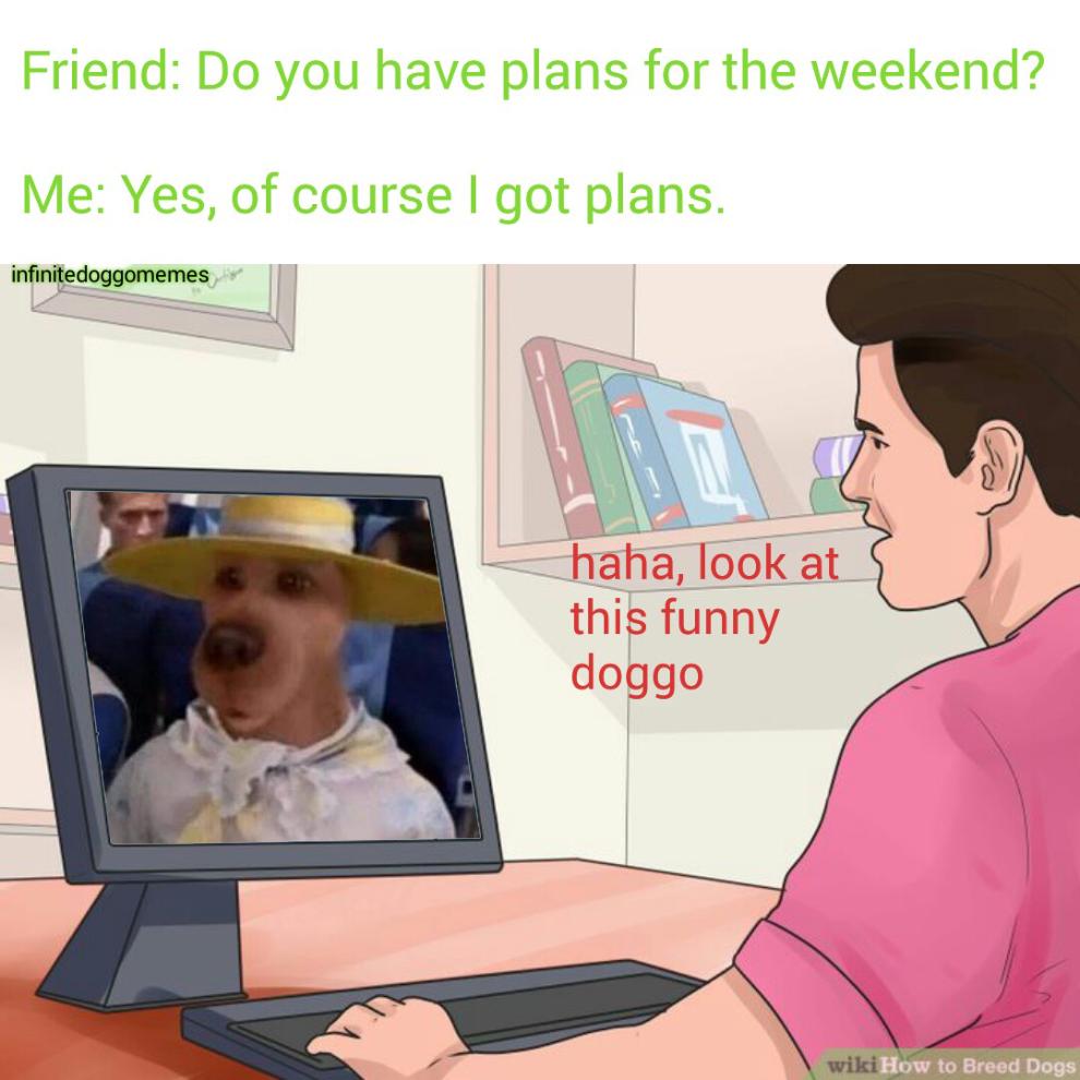 ShitpostBot 5000 (@shitpostbot5000) on Twitter photo 