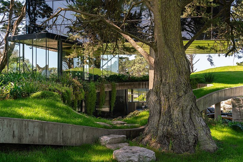 casa moro's green concrete mantle follows natural slope of forested terrain in buenos aires designboom.com/architecture/c…