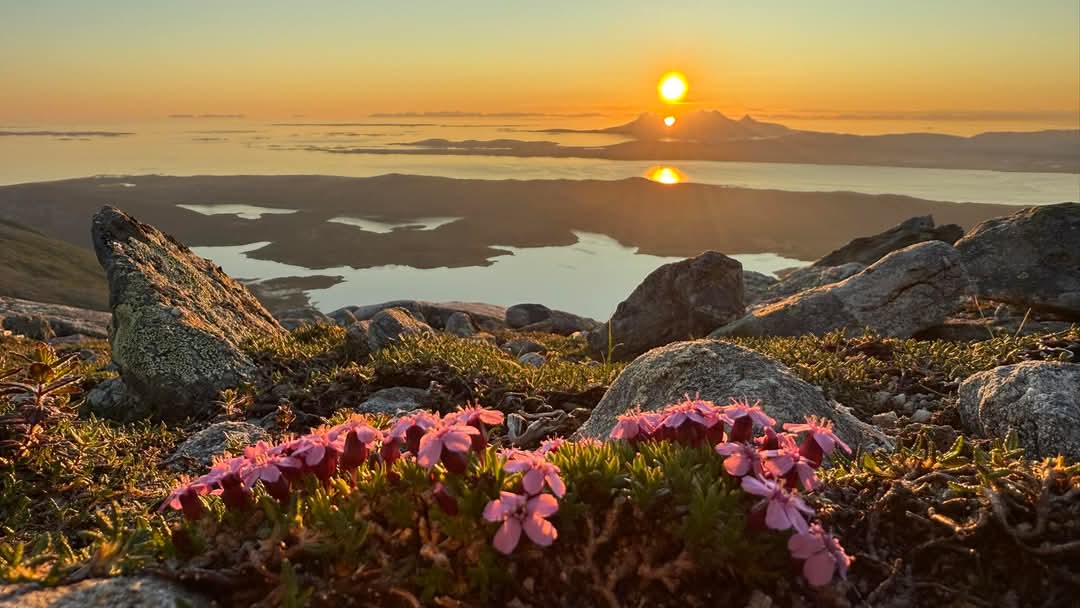 Wow 😍 Nordland summer 🌞🇳🇴
Photo Geir Ottesen #Norway #midnightsun
