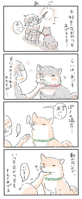 #4コマ漫画 #柴犬
あご 