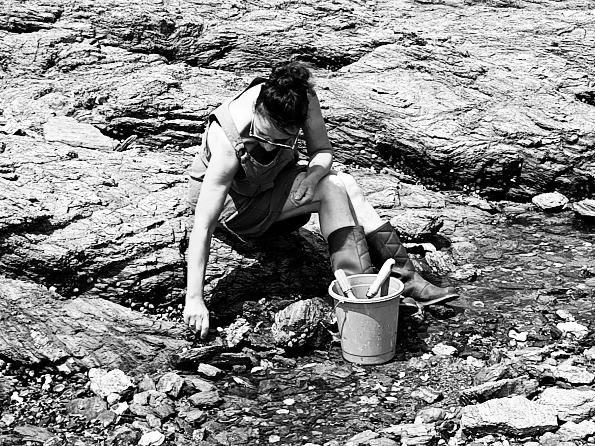 sjrm_mrti's tweet image. Coquillages Port Aux Ânes #shells #NaturePhotography
