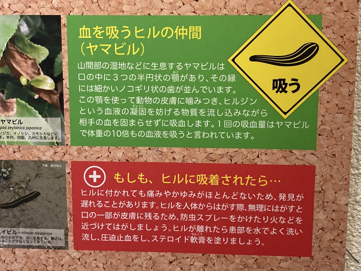 mariyasu_sub's tweet image. あぶない