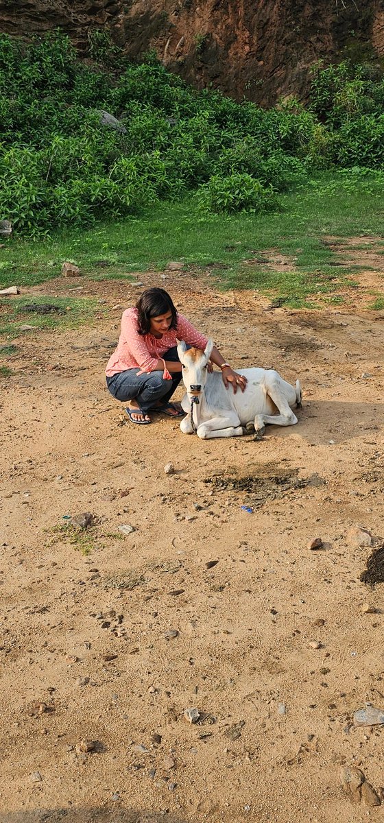 पूछ रही है शहर का जीवन कैसा है..?
मैंने भी कह दिया वो अच्छा होता तो यहाँ क्यों आते...!!🙃