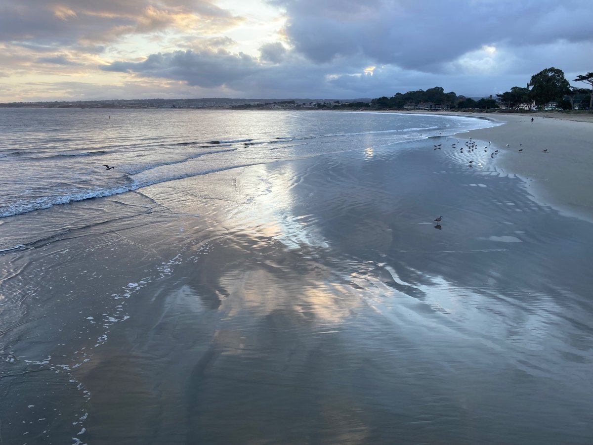 wildcreativity's tweet image. Be the light
dancing the water
loving the world.
#NaturePhotography
