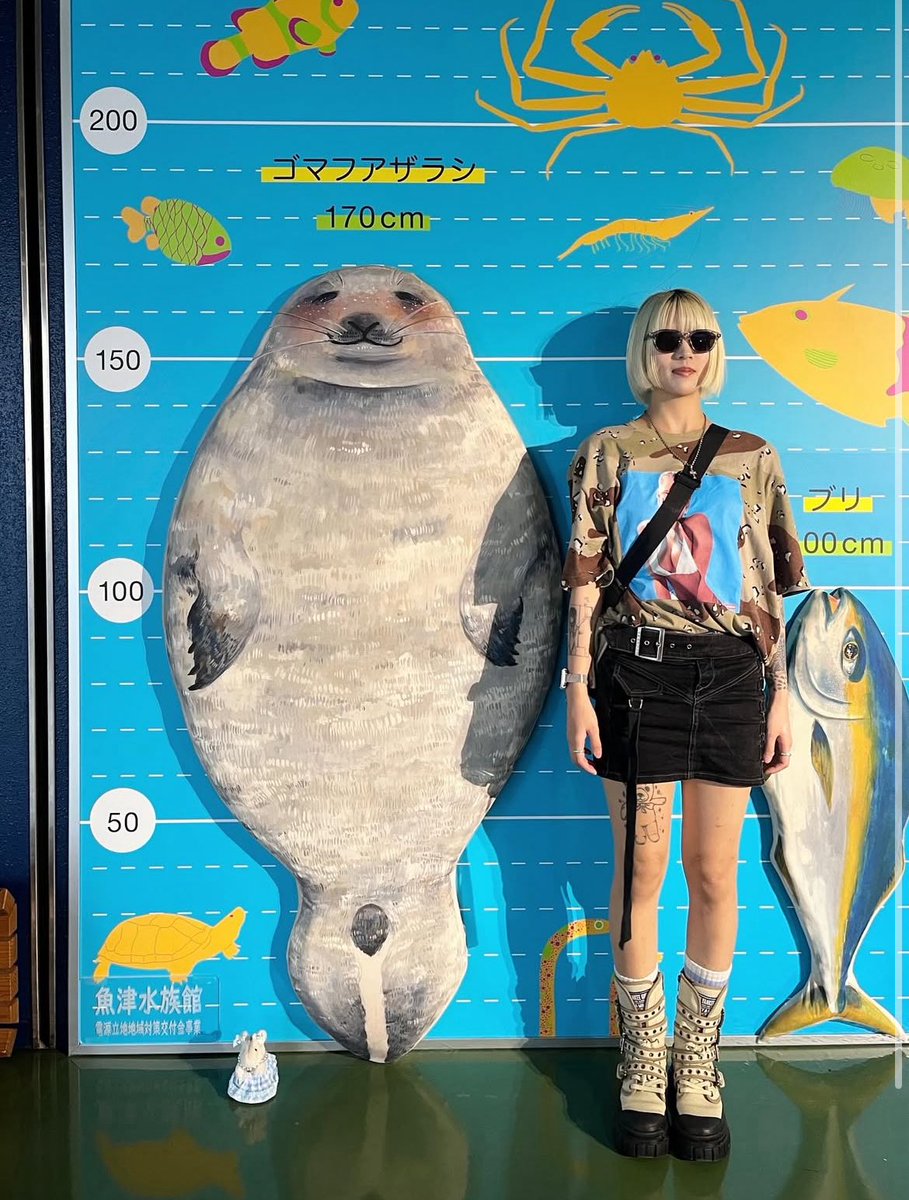 ratchimera's tweet image. 意外とデカいあざらし
意外とデカいあざらし
I'm looking for a perfect sky
I'm looking for a perfect sky