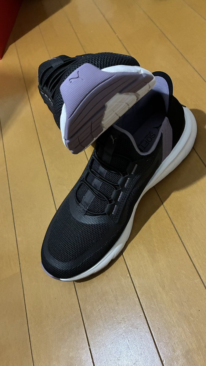 sanfrecce_kita's tweet photo. 手を使わずに履けるPUMAのシューズ
前の良すぎてまだ使ってるけど、色に💜惹かれて2足目購入😍😍😍😍

スケッチャーズより安くて5,000円で買えるから今後はもうPUMA一択だな😄😄

試合日はこっちだな😆😆
#PUMA
#SOFTRIDE
#安い
#毎回Amazonで購入 https://t.co/XIBGIOqG7r