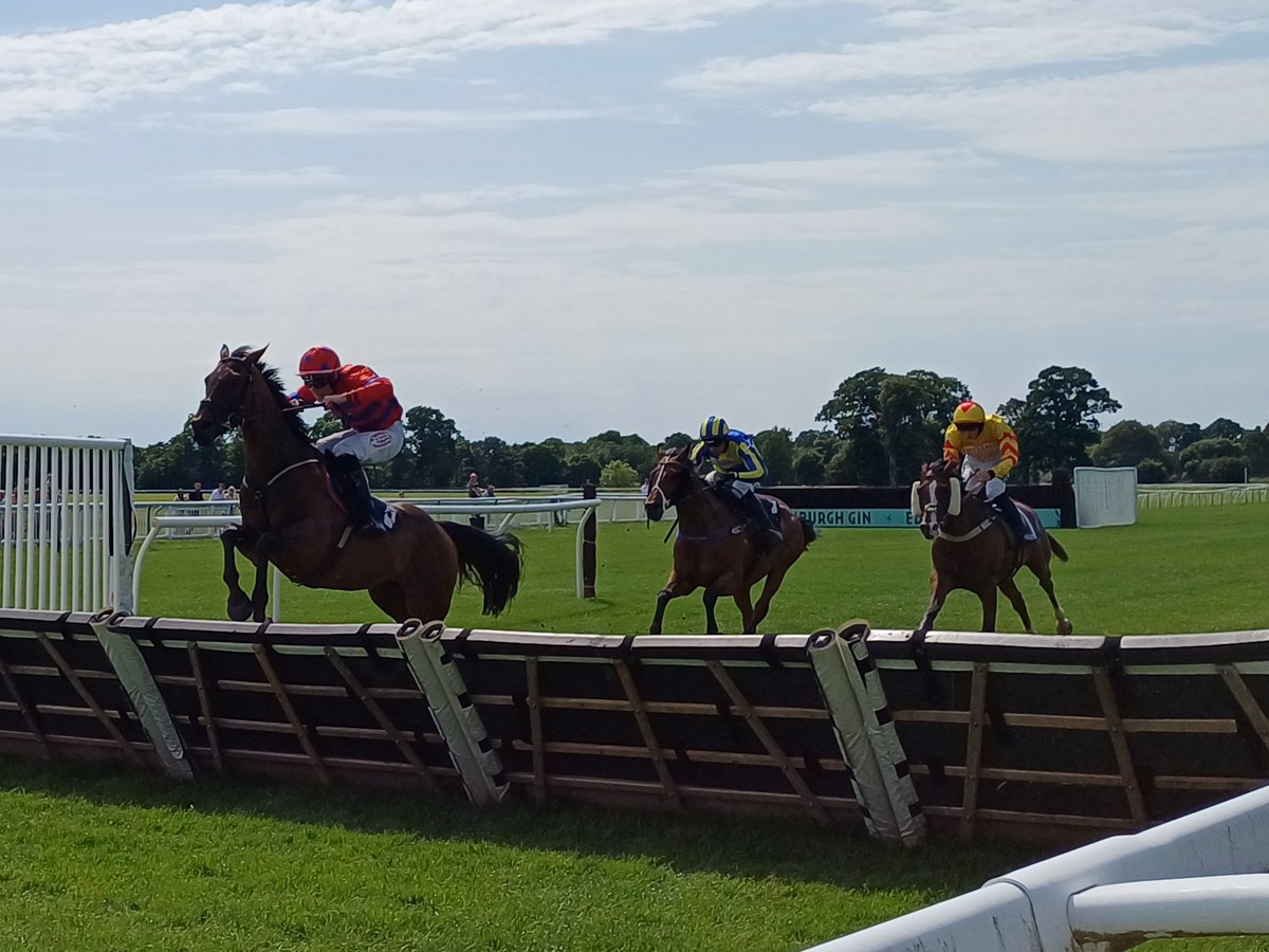 Gedward1982's tweet photo. Scorching Scottish Sunday for a 1st trip to @PerthRacecourse #5TracksLeft 😎🏴󠁧󠁢󠁳󠁣󠁴󠁿 https://t.co/Ew1MR9AyPX