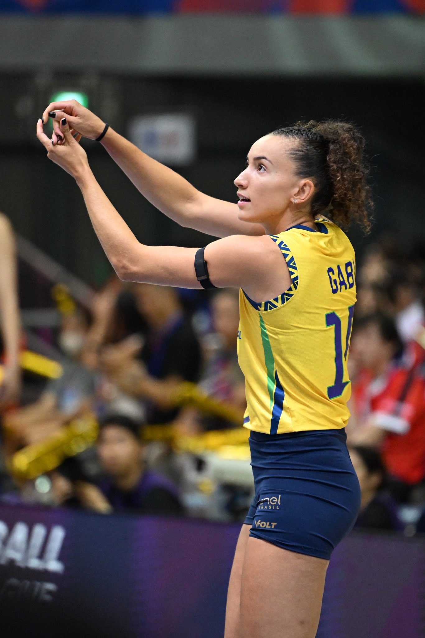 女子バレーボール証明書付　シェイラ・カストロ　ブラジル代表　直筆サイン入りフォト 女子バレーボール証明書付 シェイラ・カストロ ブラジル代表