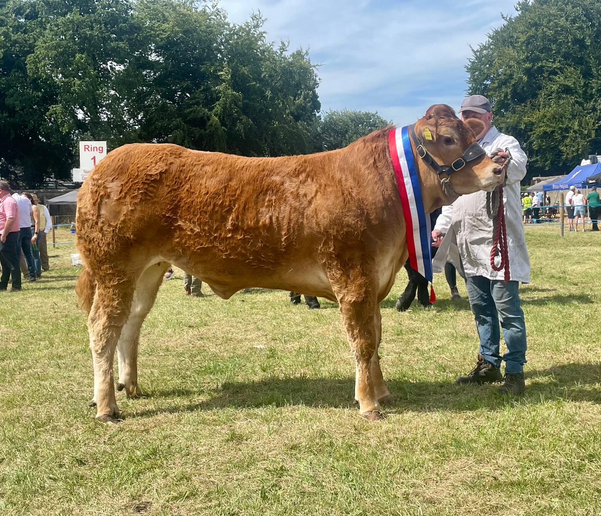 William Smith from Oldcastle after claiming the overall Limousin championship here in Mullingar with his rising two year old heifer. Stay tuned for a full report online from todays show in Mullingar  <a href="/farmersjournal/">Irish Farmers Journal</a>
