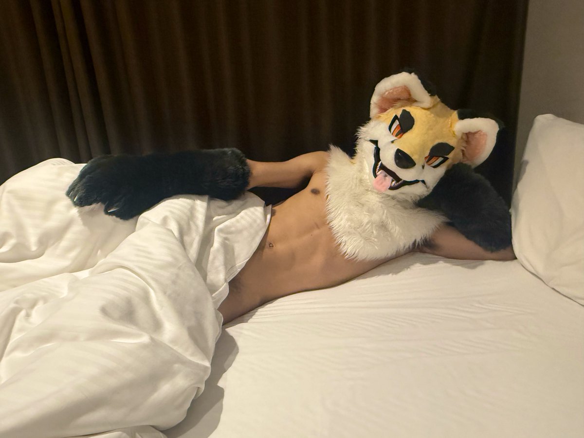 hozuKa_AD (@hozuka_ad) on Twitter photo 