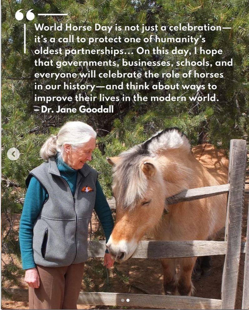 SPREADING THE GOOD NEWS: I just learned that the Mongolian Horse Heaven organization succeeded in their efforts—the United Nations declared July 11 officially World Horse Day! #horselover #equine #equestrian #horses #WorldHorseDay