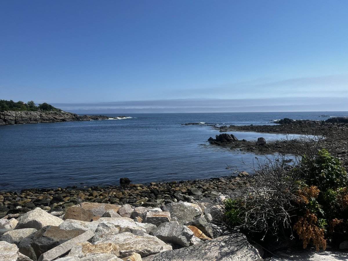rguha's tweet image. Coastal rides are the best rides. A glorious day on the #cycle