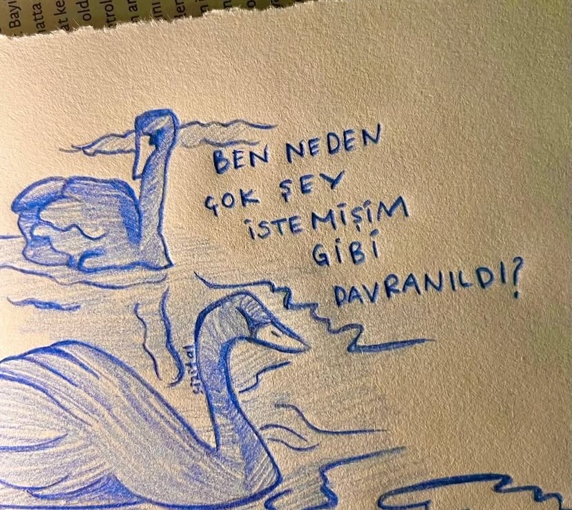 Bir gün var asra (@birgunvarasra) on Twitter photo 