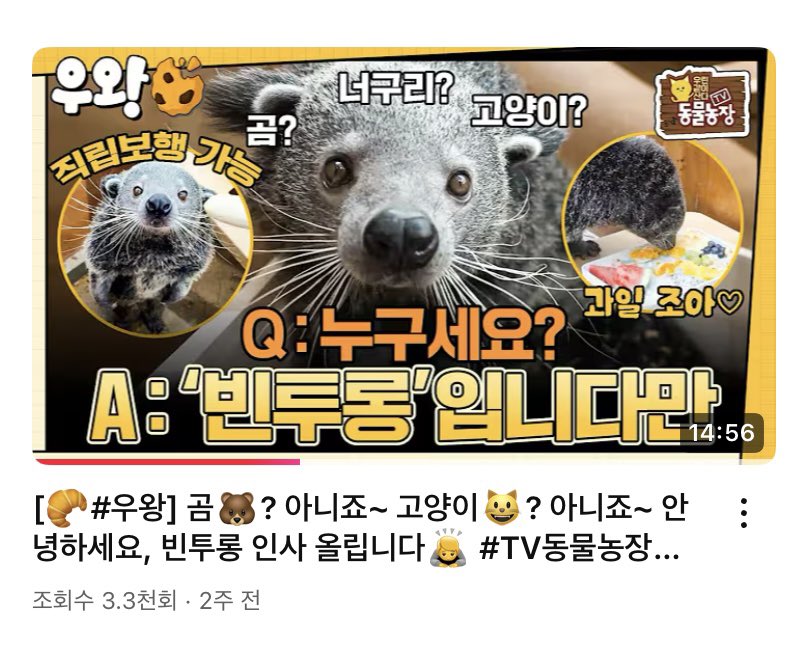 gom_upsidedown's tweet image. 완전 스애덕