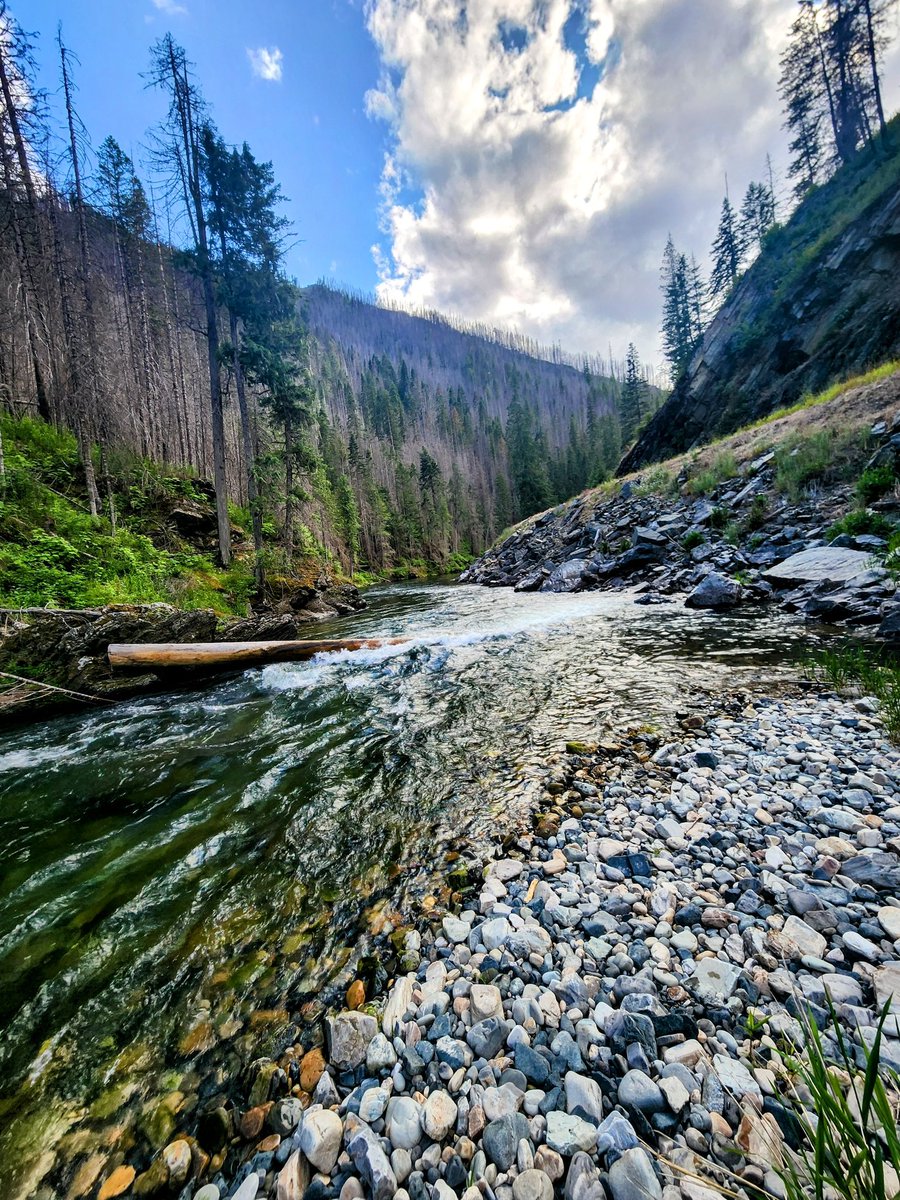 Joe Blow tweet media