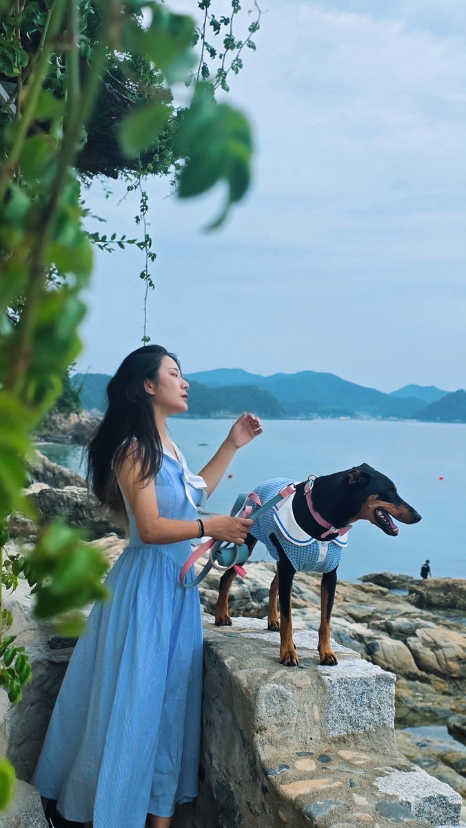 수국엔 거제는 꼭 가줘야지ㅋ