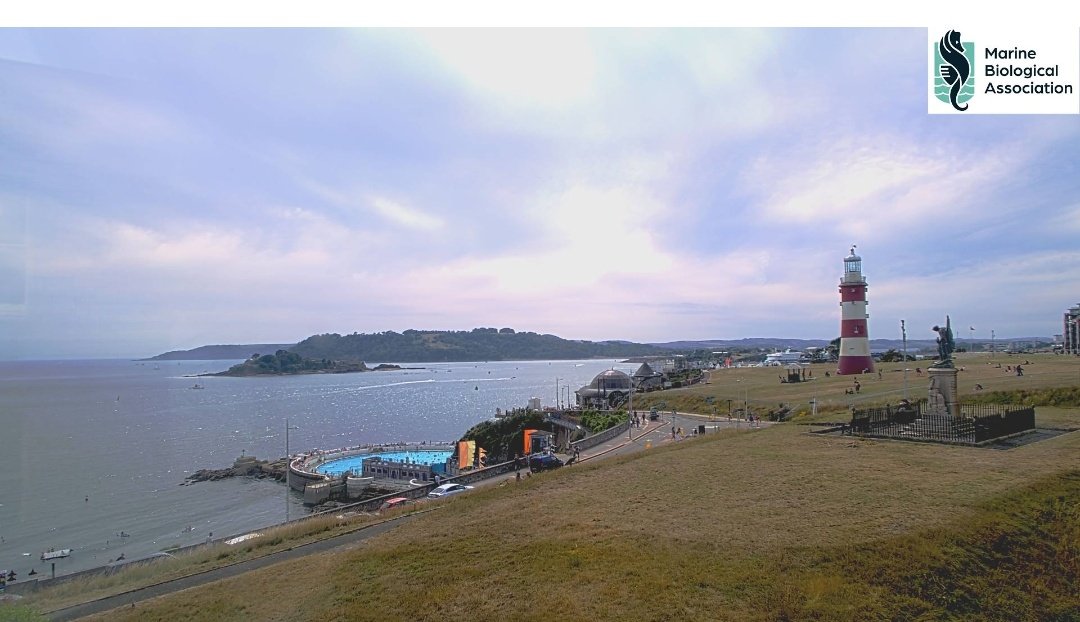 The view from the marvellous Marine Biological Association. 
Me in all my splendour.